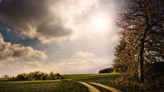 Picture of a sunny day of green fields and a road/path.